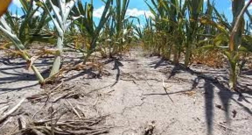 Avanza el pedido de emergencia agropecuaria y resta ahora la aprobación de Economía