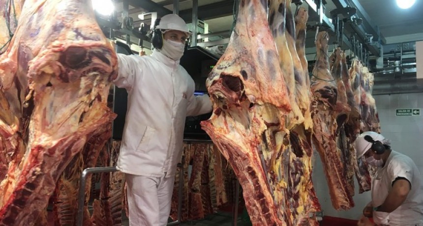 Frigoríficos advierten que EEUU recibirá 80 mil toneladas de carne, pero “picada para hamburguesa”