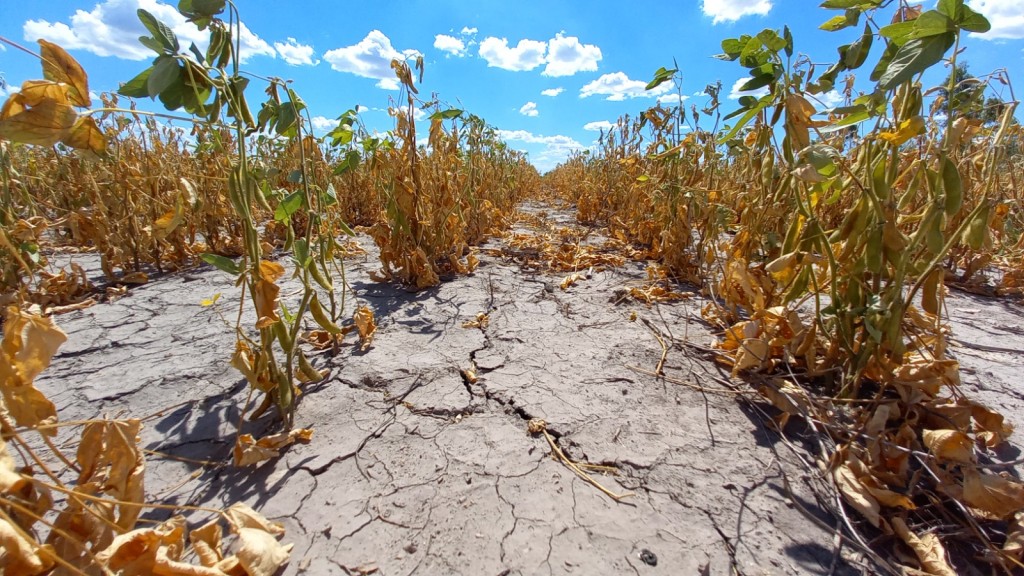 Sequía: el gobierno prorrogó la emergencia o desastre agropecuario