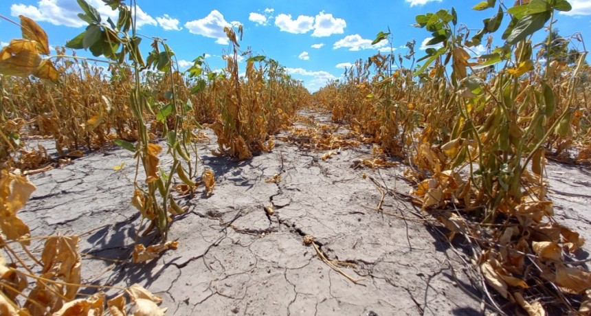 Sequía: el gobierno prorrogó la emergencia o desastre agropecuario