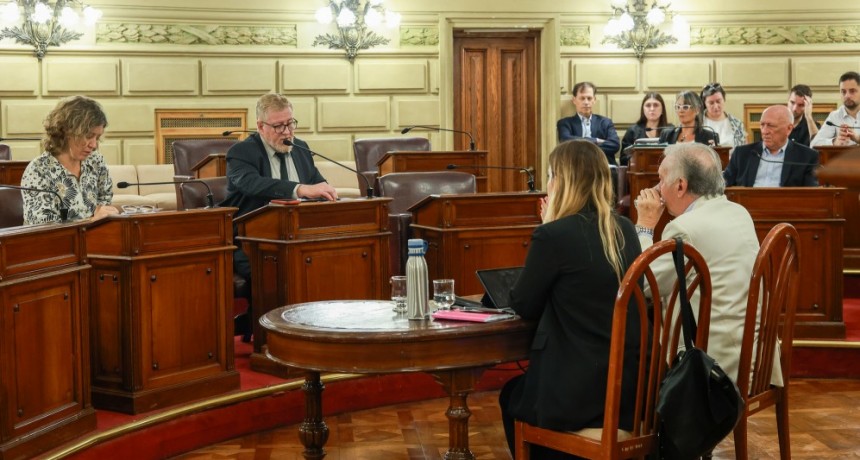 Dictamen legislativo unánime para destituir al fiscal de género de Reconquista