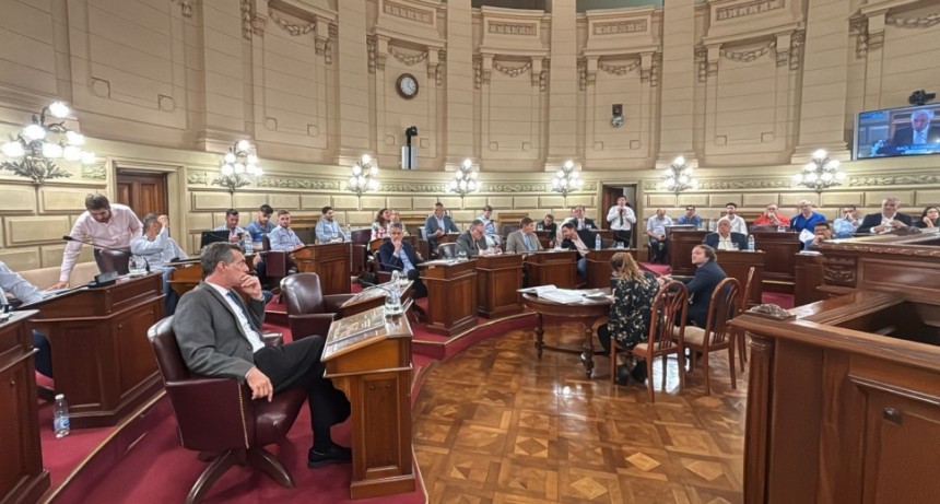 El debate de la unicameralidad y la dipuvaga 