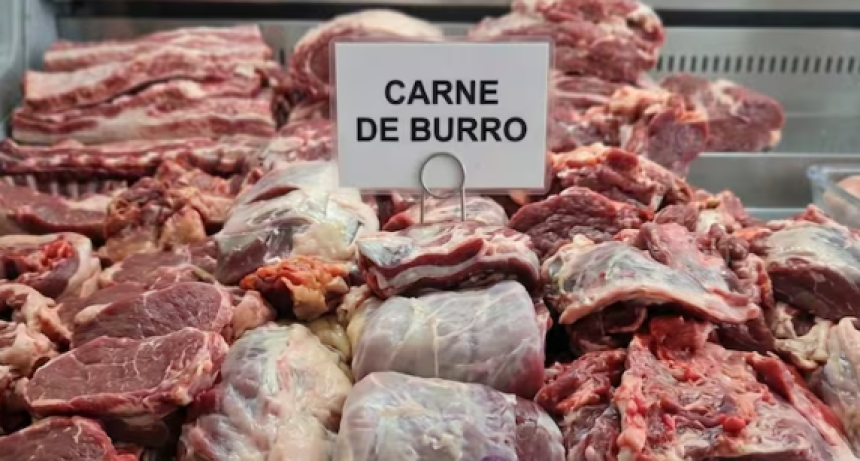  Julio Cittadini, propulsor del consumo de carne de burro: &ldquo;En similar o superior a la vacuna&rdquo;, indic&oacute;