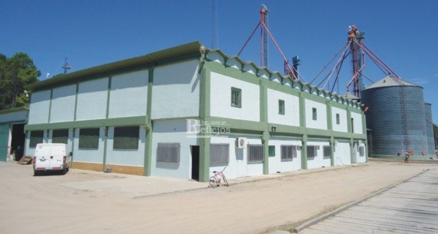 San Javier: cerr&oacute; un molino arrocero y advierten sobre la crisis del sector