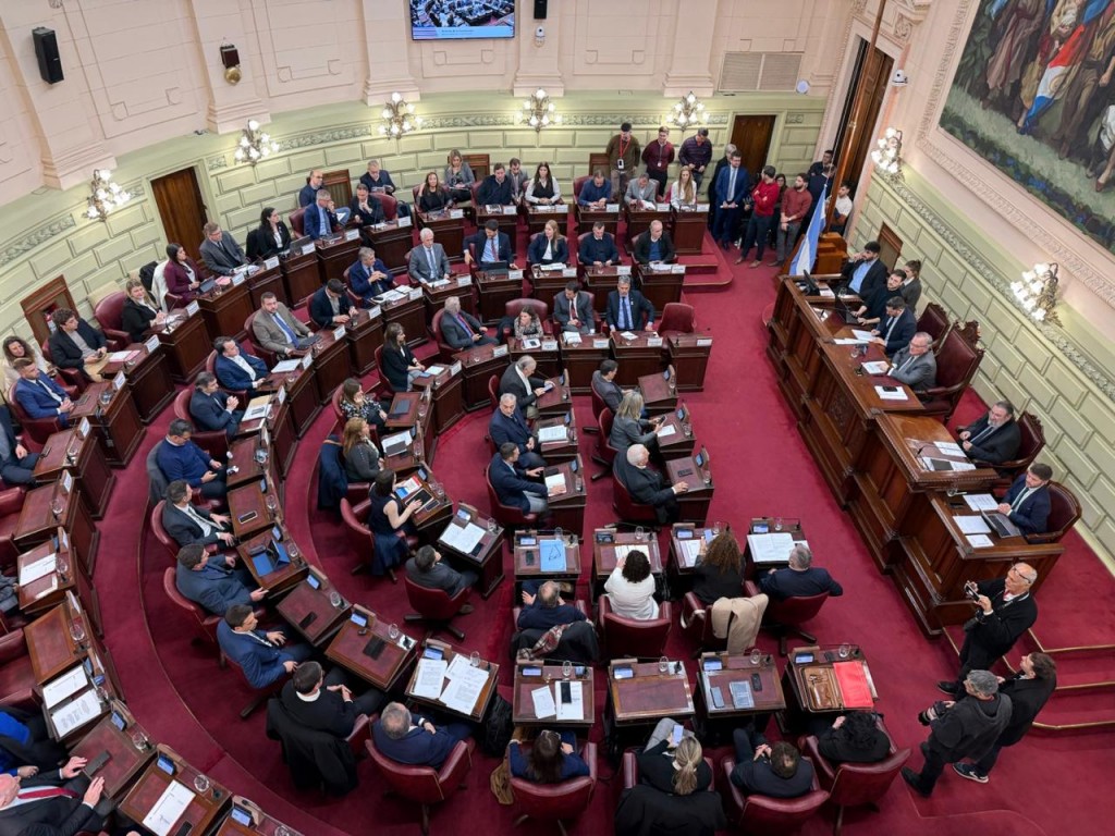 Definitivo rechazo a la impugnación de la electa convencional Alejandra Oliveras