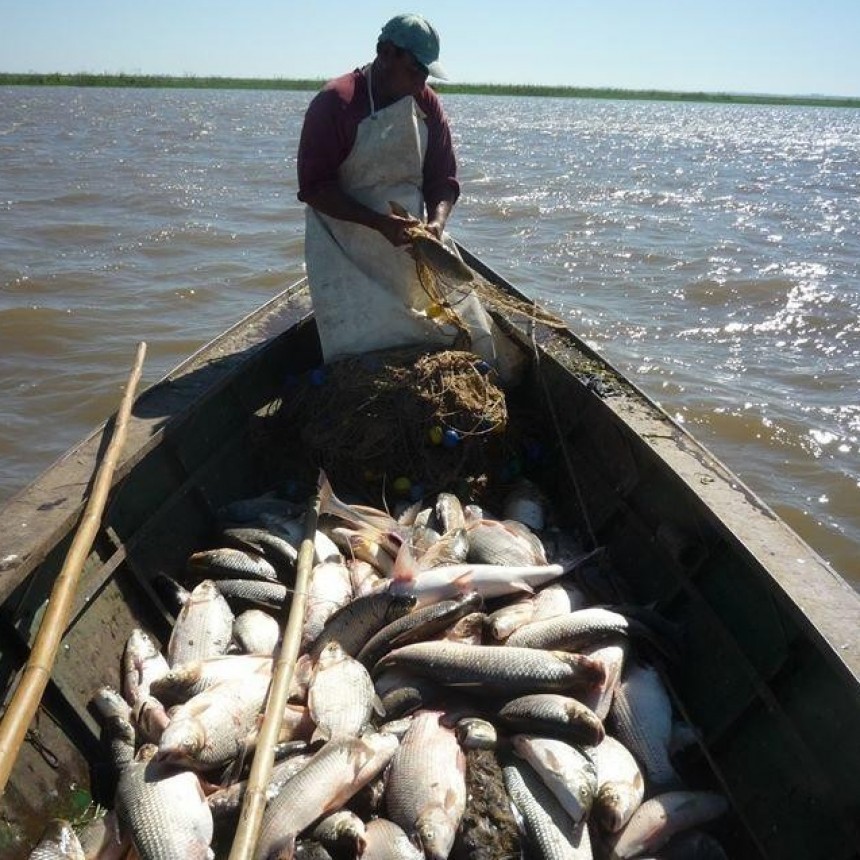 Un informe científico advierte sobre la caída en número y talla de las especies de nuestros ríos