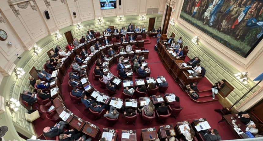 La nueva constitución determinará que la Caja de Jubilaciones será intransferible