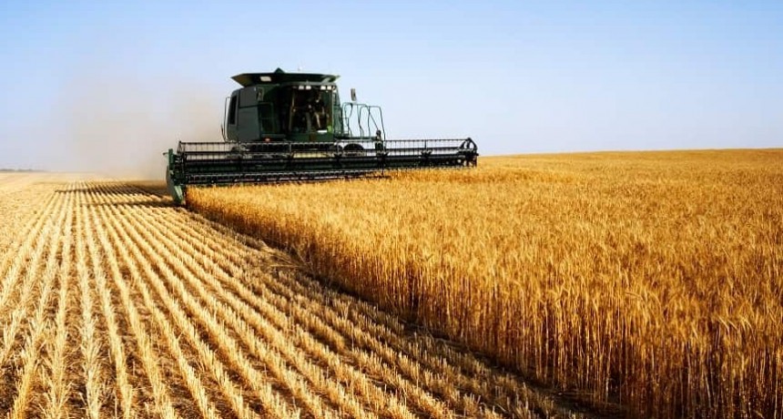 Quita de retenciones: Para Ignacio Mántaras “obedece a una necesidad de caja”