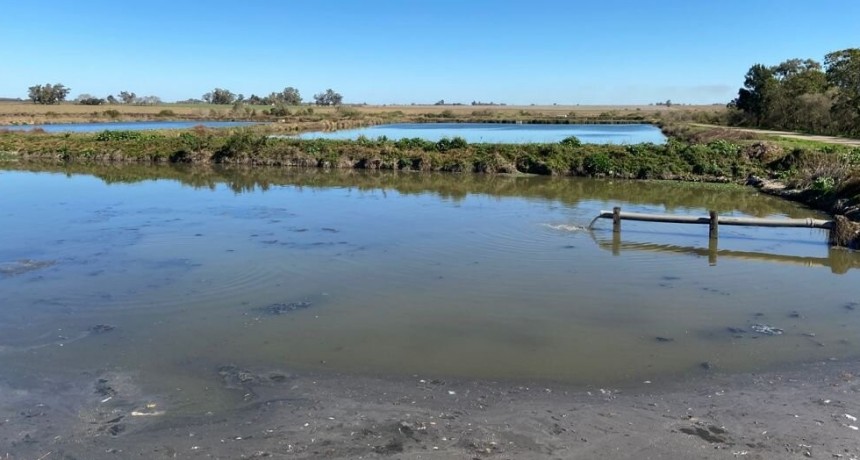 Detectaron coronavirus en aguas cloacales de la ciudad de San Justo