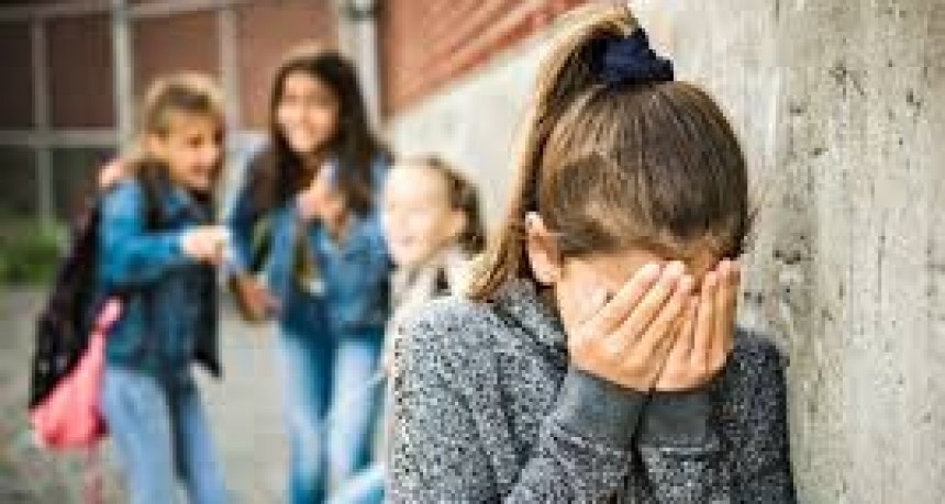 Una diputada propone que los padres se hagan cargo del bullying que cometan sus hijos