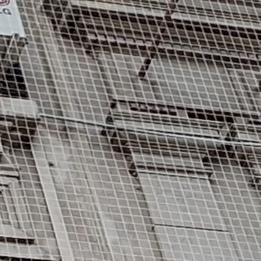 Instalan una nueva red antipalomas en Casa de Gobierno de Santa Fe