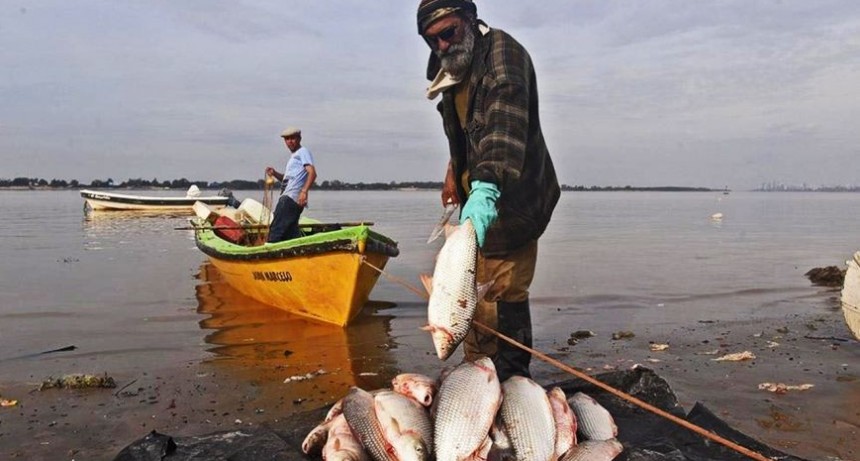 En inédita resolución, el gobierno santafesino prohibió el acopio de pescado para exportar