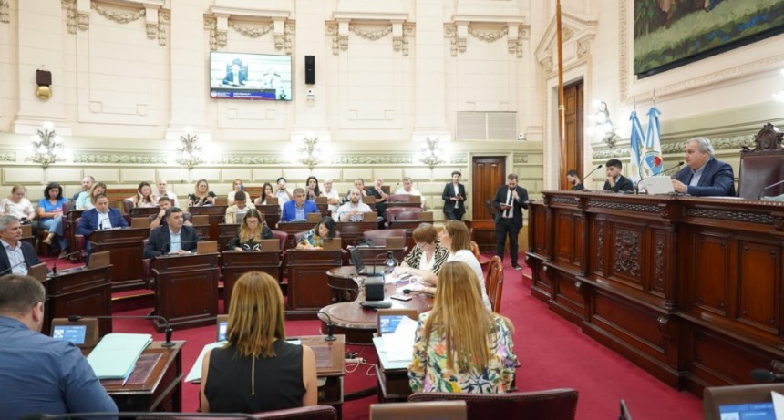 Diputados citó a dos ministras provinciales